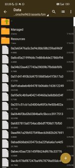 Screenshot_2025-07-10-22-25-56-456_ru.zdevs.zarchiver.jpg