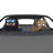 JuneGorilla6